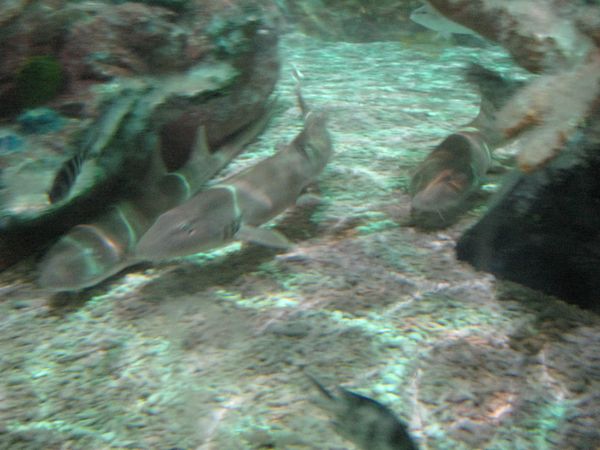 IMG_1887